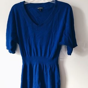 Express Sweater Dress